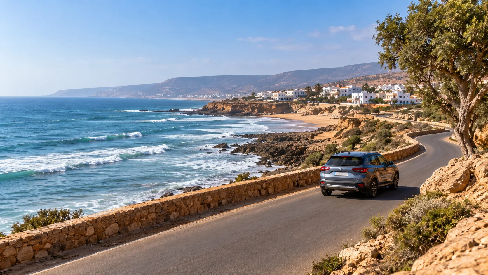 Agadir cruise shore excursion سائق خاص